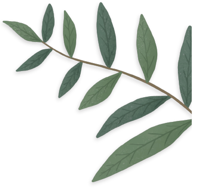 hoja