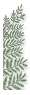 hoja